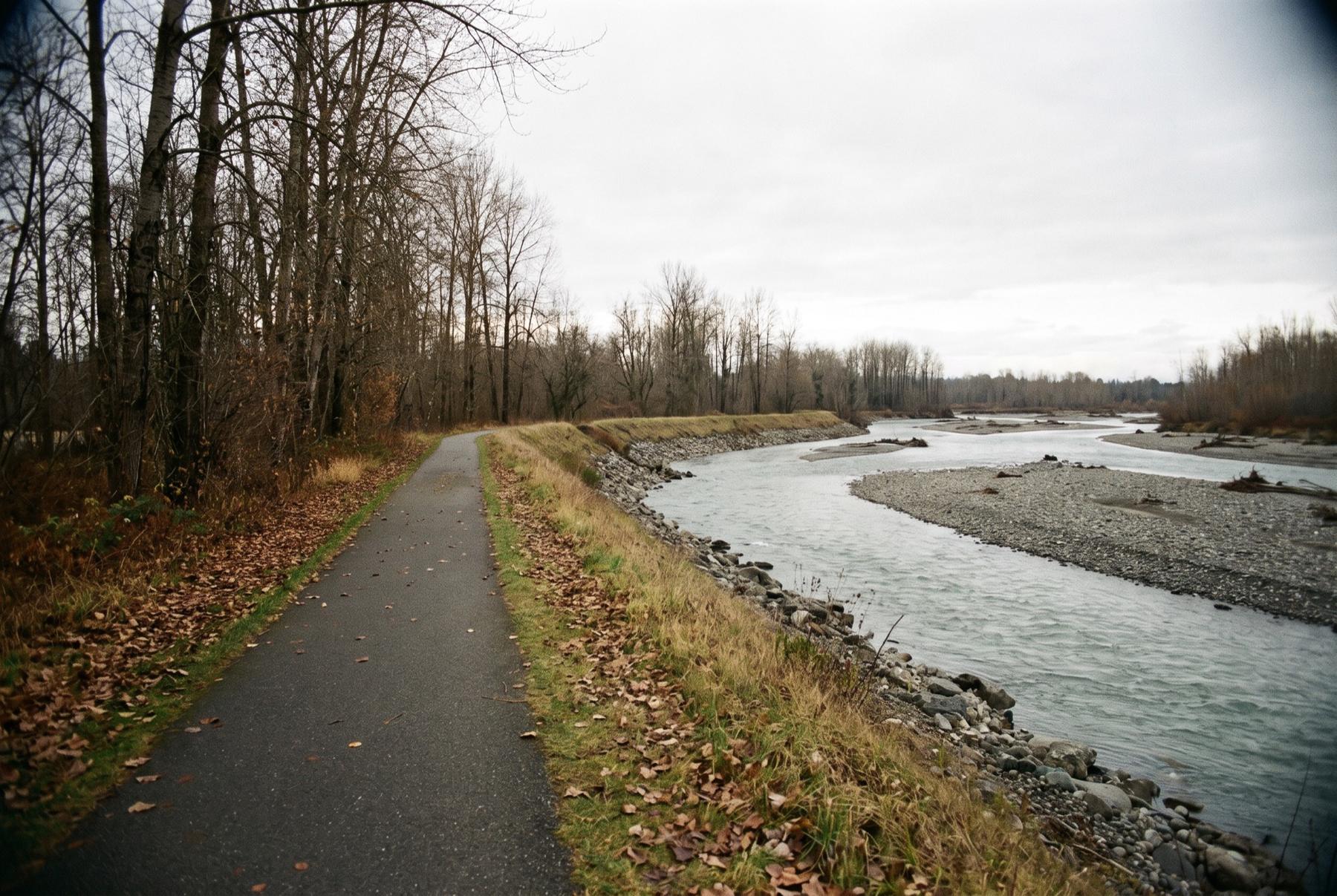 A paved riverside trail beside the gray-green White River and a gravel bar under bare cottonwoods on an overcast afternoon